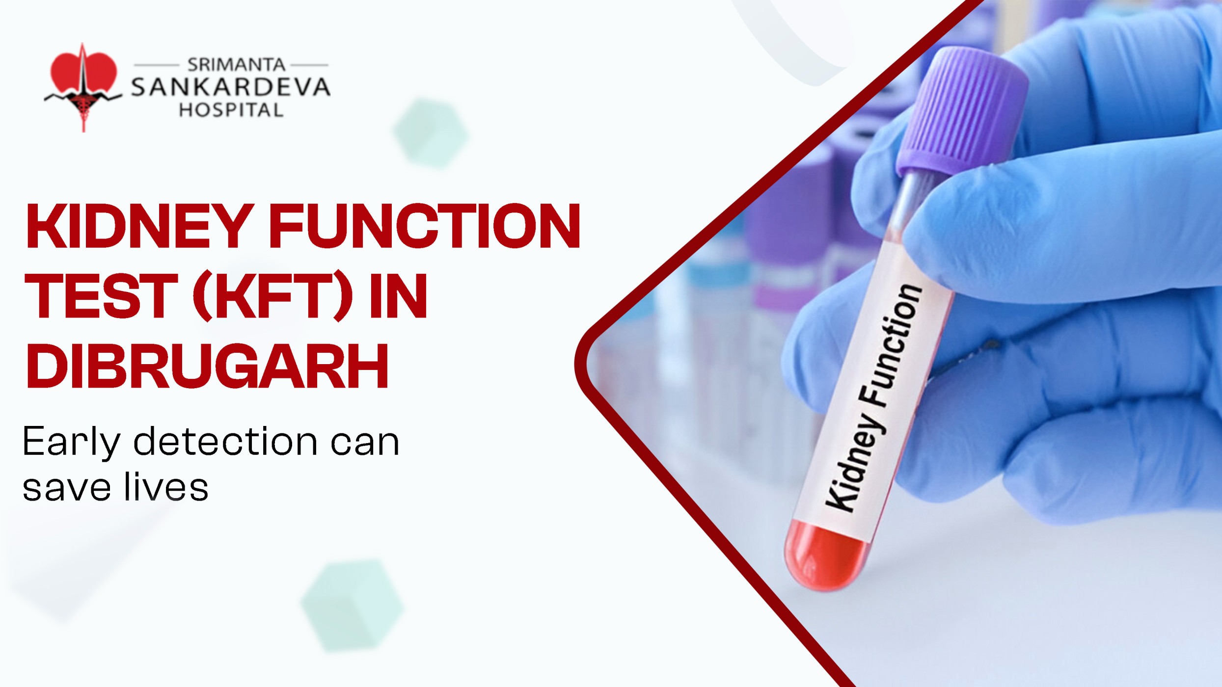 Kidney Function Test